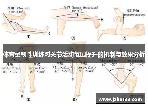 体育柔韧性训练对关节活动范围提升的机制与效果分析