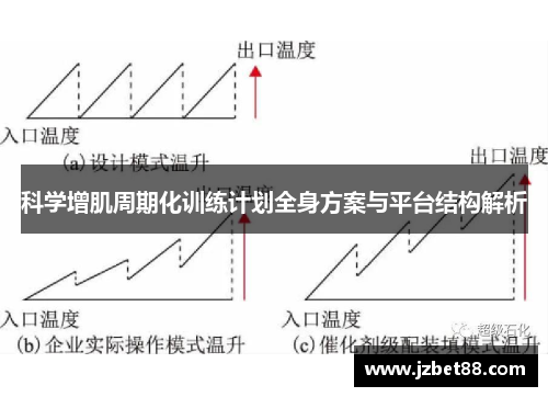 科学增肌周期化训练计划全身方案与平台结构解析